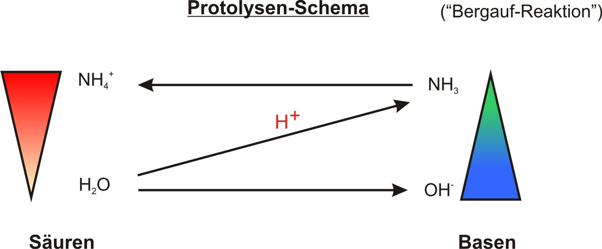 03-02-00-ta-protolysenschema--ammoniak---wasser